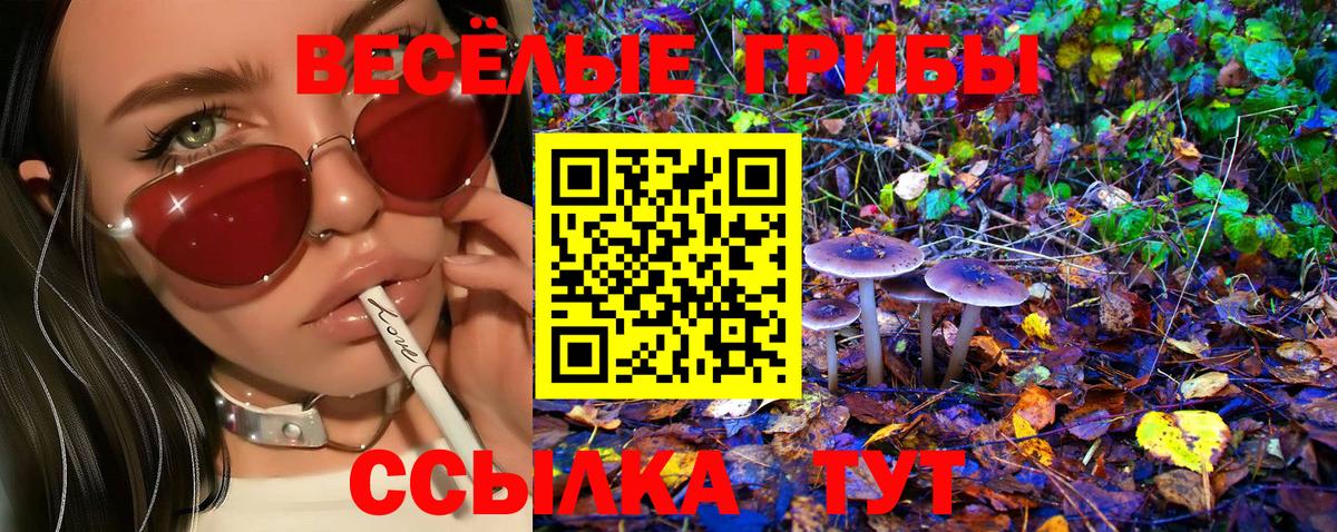 Псилоцибиновые грибы прущие грибы  Вход с VPN  Туапсе  Псилоцибиновые грибы мицелий 